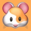 WWW,526se·COM网站APPAPP应用