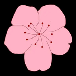 蘑菇视频1.3.4.APP应用